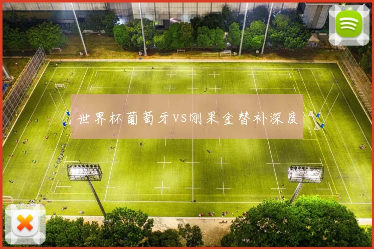 世界杯葡萄牙vs刚果金替补深度