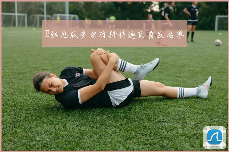 E组厄瓜多尔对科特迪瓦首发名单