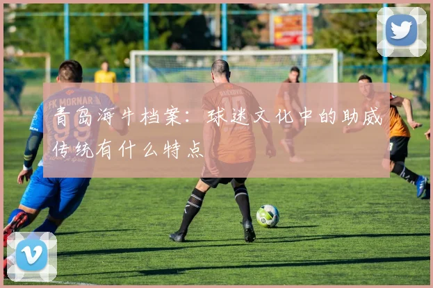 青岛海牛档案：球迷文化中的助威传统有什么特点