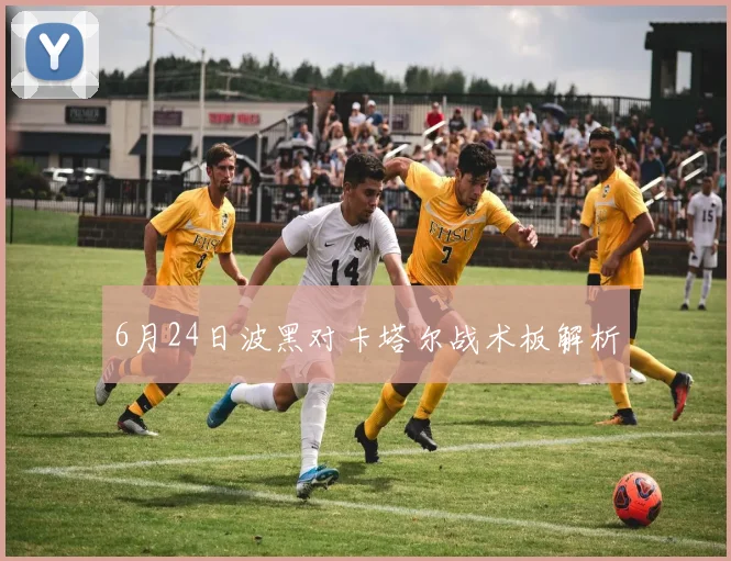 6月24日波黑对卡塔尔战术板解析