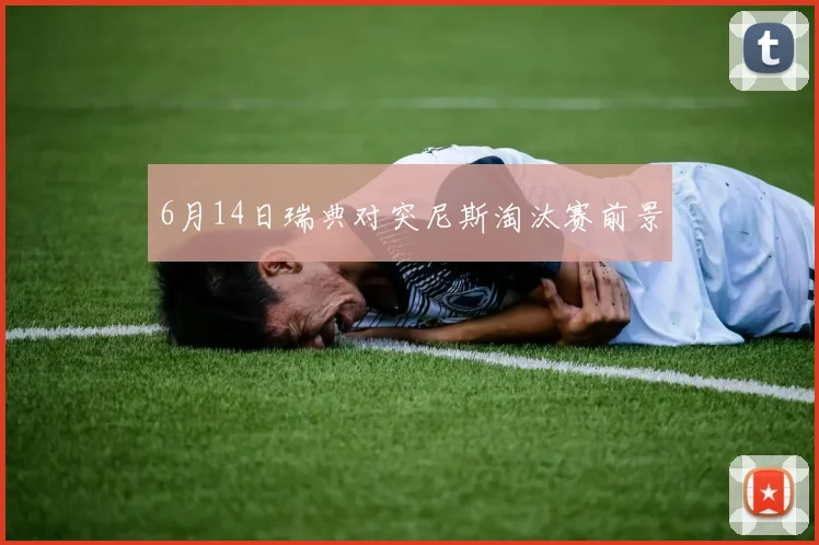 6月14日瑞典对突尼斯淘汰赛前景