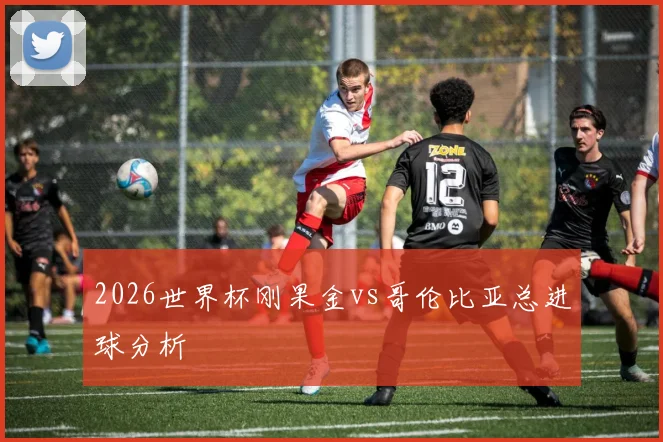 2026世界杯刚果金vs哥伦比亚总进球分析
