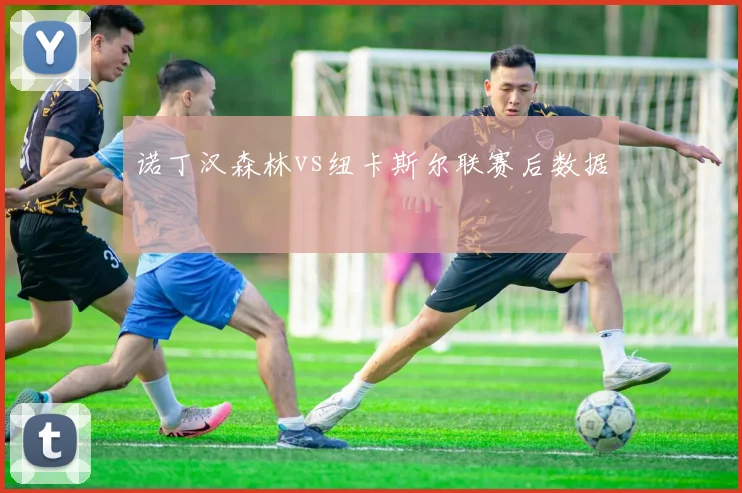 诺丁汉森林vs纽卡斯尔联赛后数据