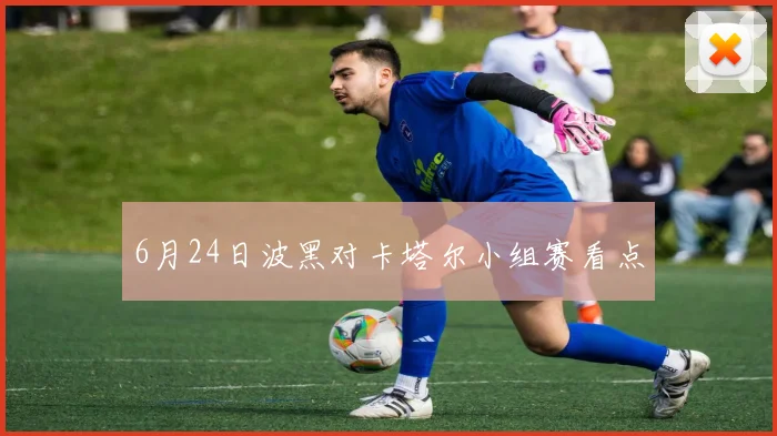 6月24日波黑对卡塔尔小组赛看点